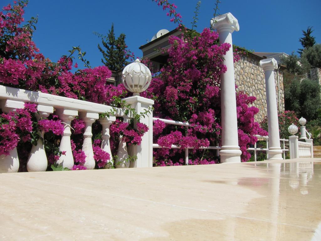 كالكان Apart Hotel 3T المظهر الخارجي الصورة